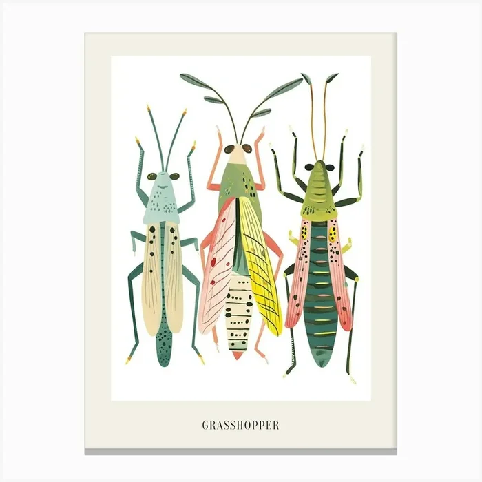 Colourful Insect Illustration Grasshopper 1 Poster Canvas Print by Ritual Art Prints