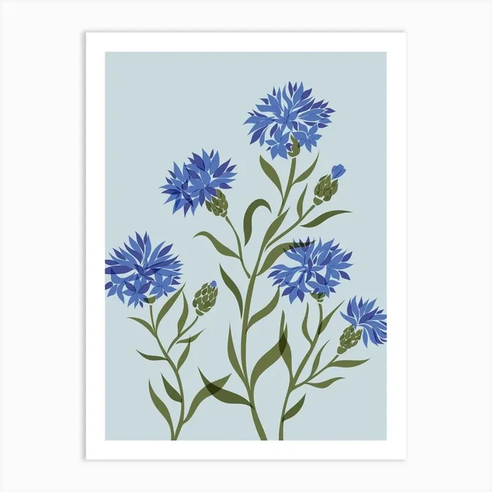Cornflowers Art Print by Fleur Folk