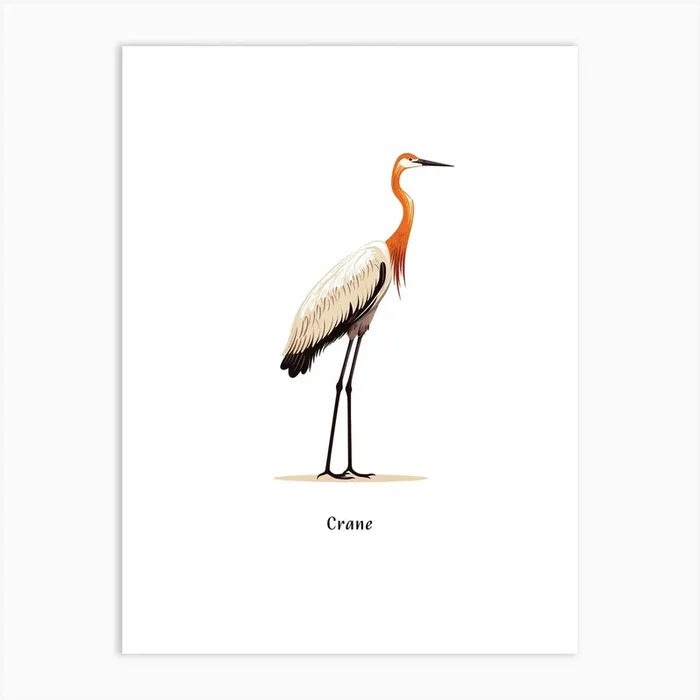 Crane Kids Animal Poster Art Print by Scribble Studio