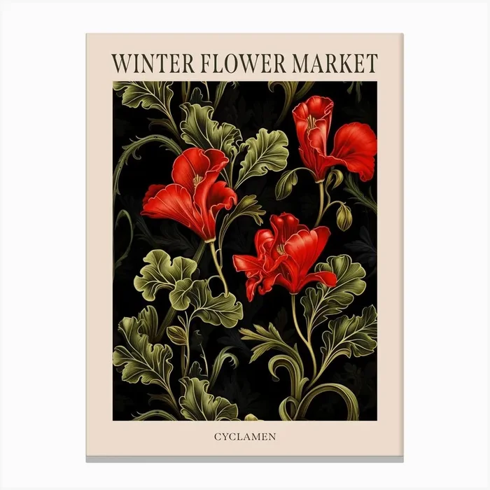 Cyclamen 4 Winter Flower Market Poster Canvas Print by Bon Hiver Prints