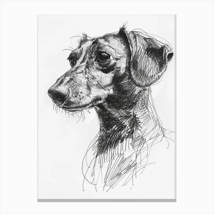 Dachshund Dog Line Sketch 3 Canvas Print by Woof and Whiskers