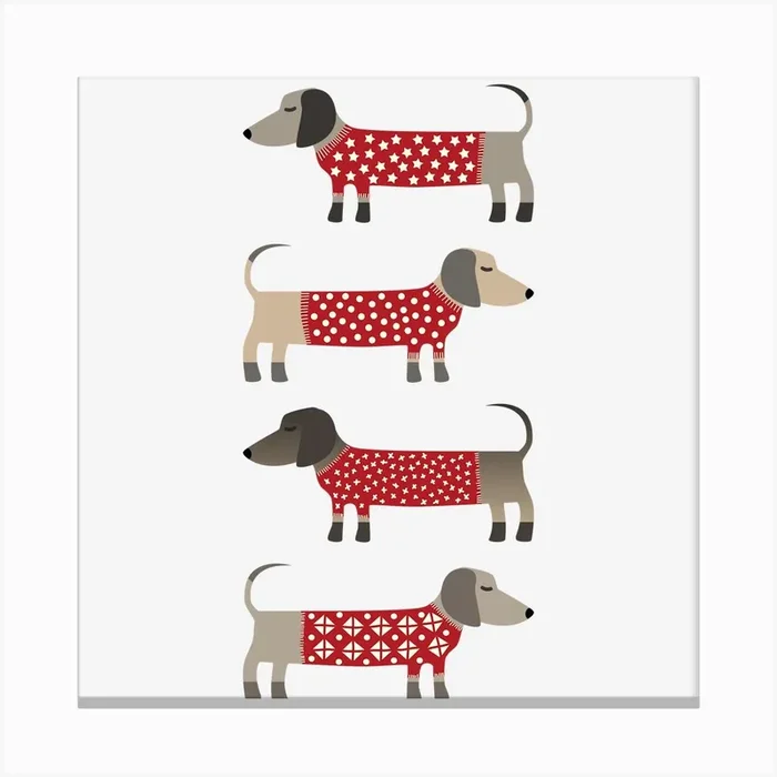 Dachshund Wiener Sausage Dogs in Red Knitwear Canvas PrintNS by Nic Squirrell