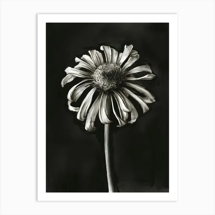 Daisy 3 Art Print by Art shop