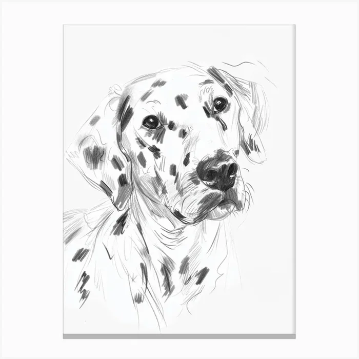 Dalmation Dog Charcoal Line 2 Canvas Print by Woof and Whiskers