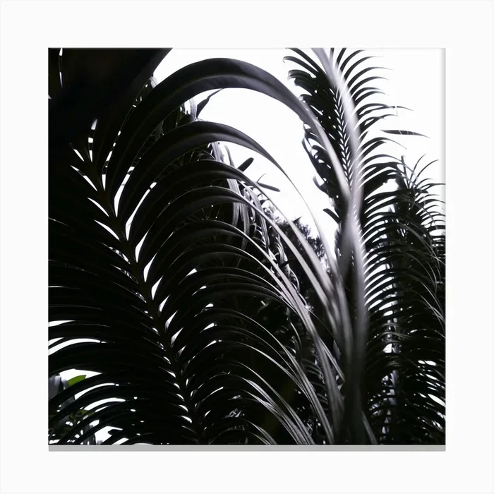 Dark Leaves II Canvas Print by Zala02Creations