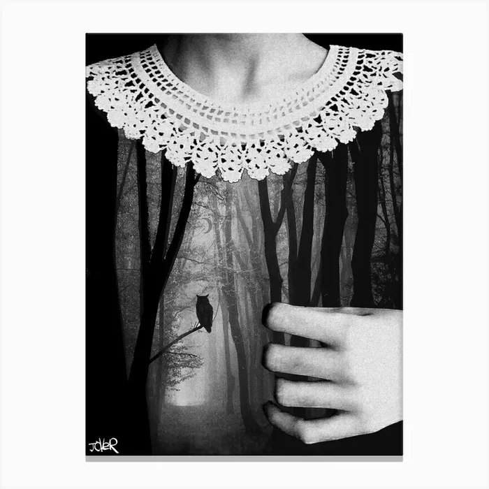 Deep Inside Canvas Print by Loui Jover