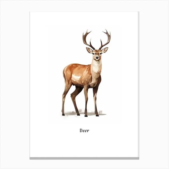 Deer Kids Animal Poster Canvas Print by Scribble Studio