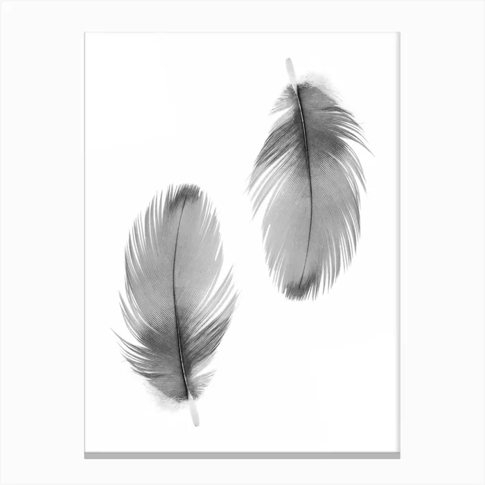 Double Feathers Canvas Print by Hecetu