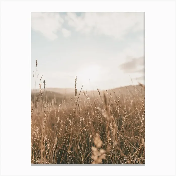 Dried Dune Grass Canvas PrintIP by Inkish Prints