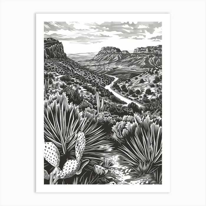Duotone Illustration Mount Bonnell Austin Texas 2 Art Print by PixelPerfect