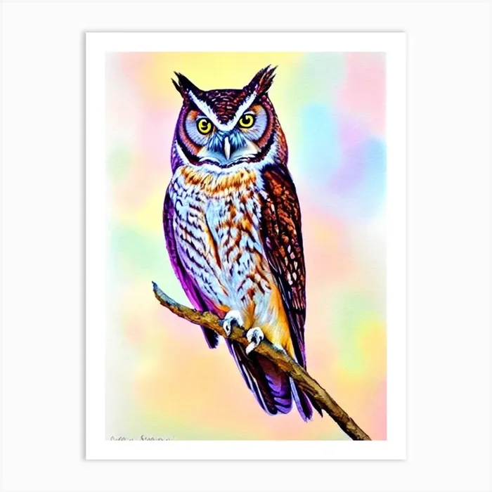 Eastern Screech Owl Watercolour Bird Art Print by Featherline
