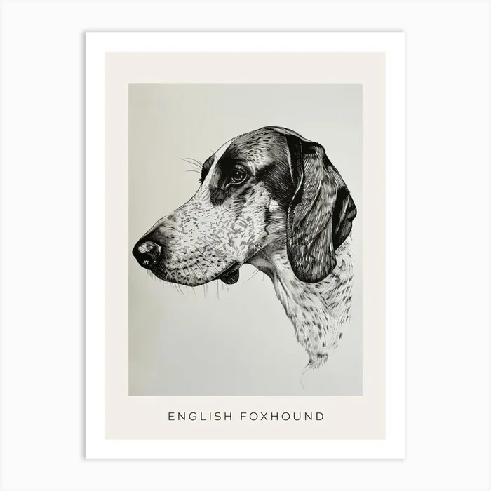 English Foxhound Dog Line Sketch 2 Poster Art Print by Woof and Whiskers
