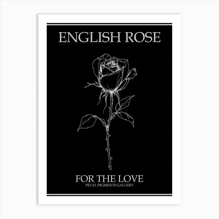 English Rose Black And White Line Drawing 20 Poster Inverted Art Print by Petal Pigments