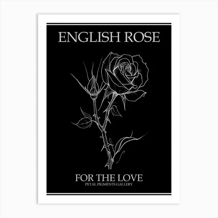 English Rose Black And White Line Drawing 30 Poster Inverted Art Print by Petal Pigments