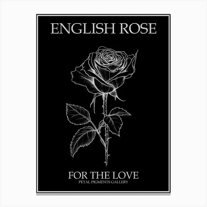 English Rose Black And White Line Drawing 4 Poster Inverted Canvas Print by Petal Pigments