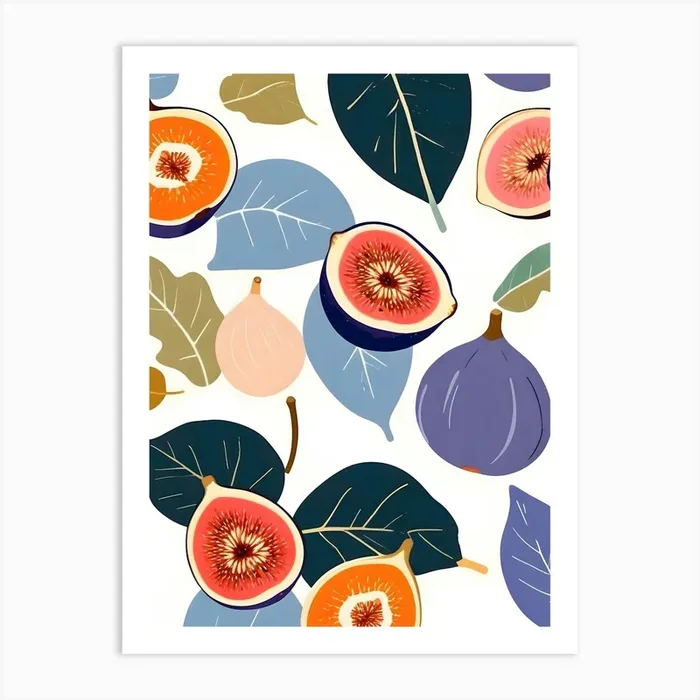 Figs Botanicals Art Print8O by 83 Oranges