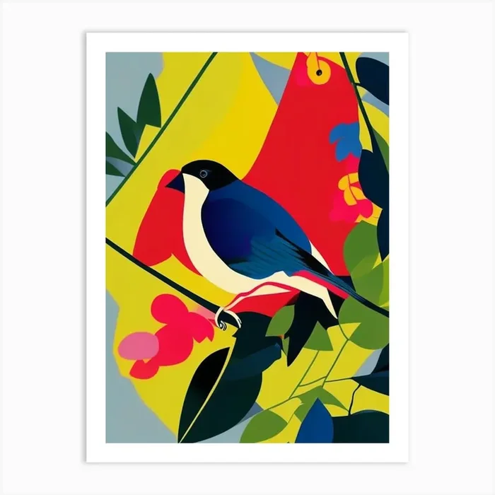 Finch Pop Matisse 2 Bird Art Print by Featherline