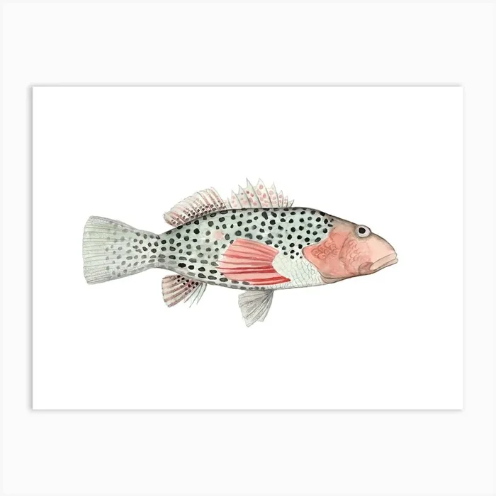 Fish 1 Art Print by Mantika Studio