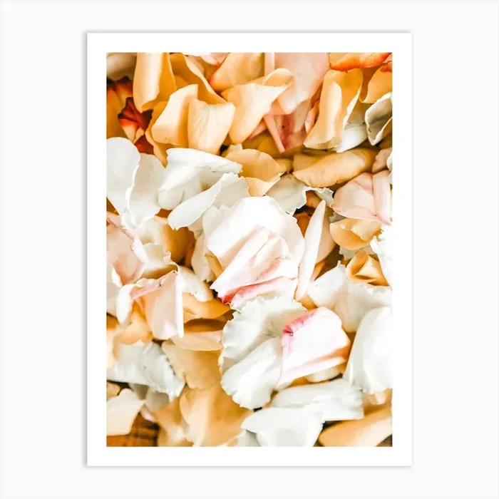 Flower Petals Art Print by Indio Page