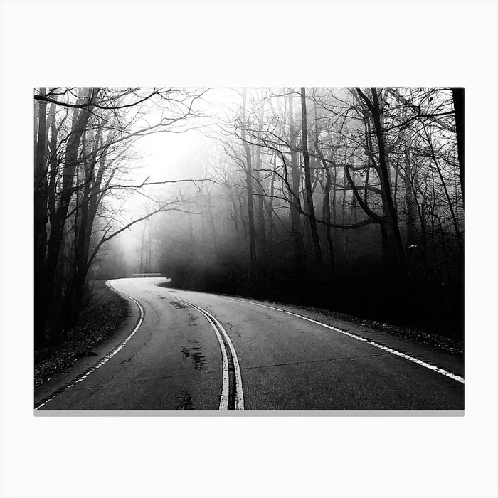 Foggy Road Canvas Print by Kickstand