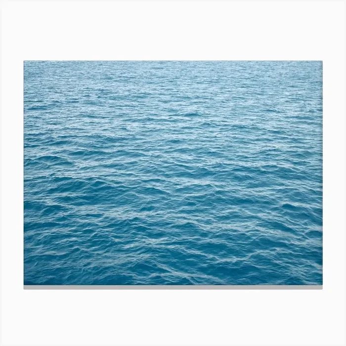 Full Ocean 43 Canvas Print by BarbaraB