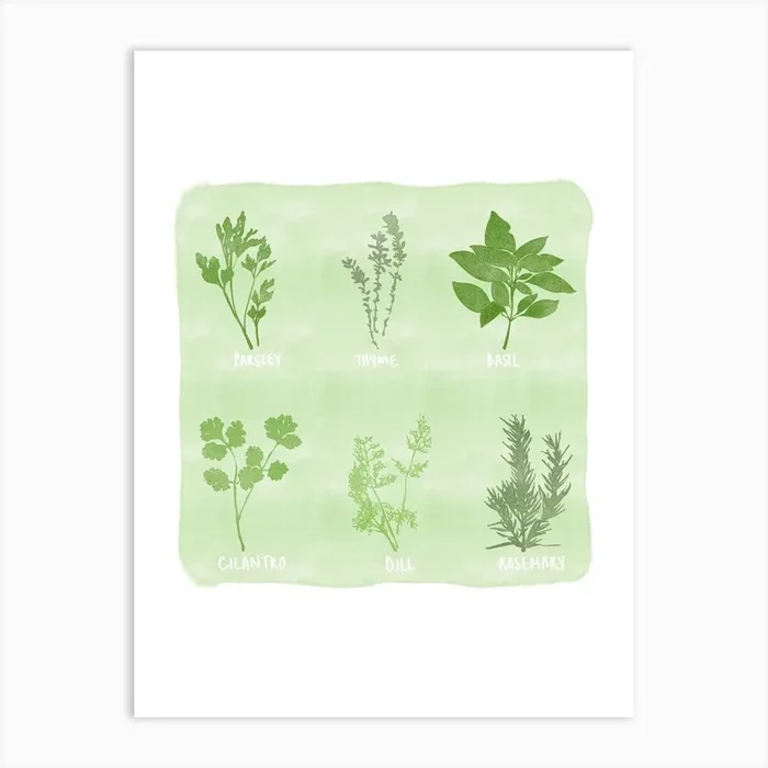 Garden Herbs Art Print by valencia june studio
