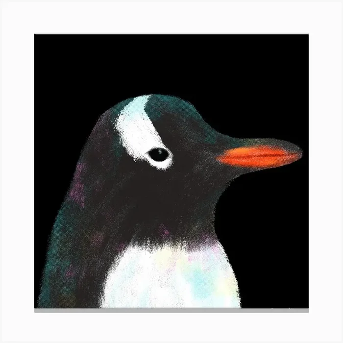 Gentoo Penguin Square Canvas Print by Juliana Motzko