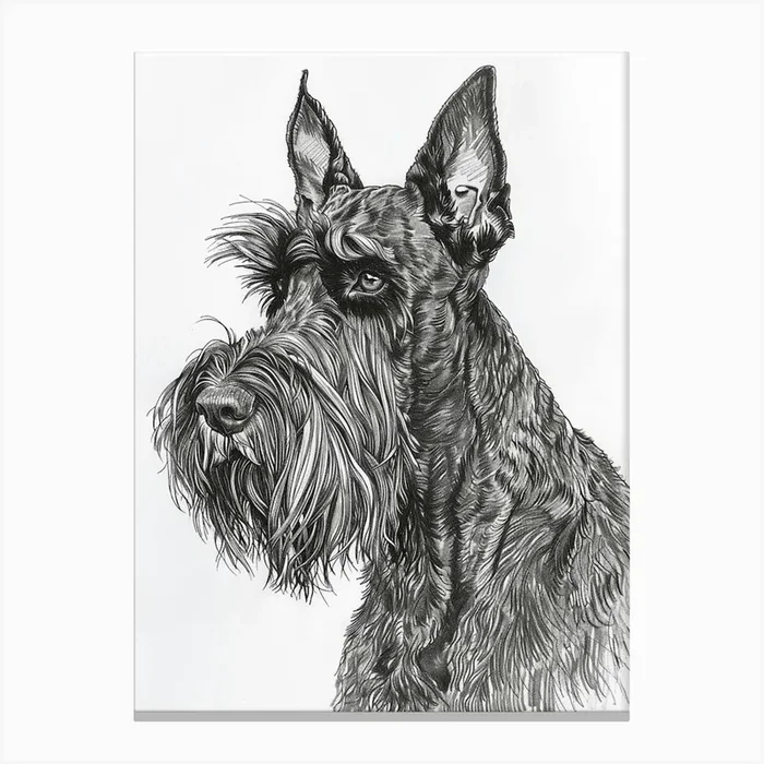 Giant Schnauzer Line Sketch 1 Canvas Print by Woof and Whiskers
