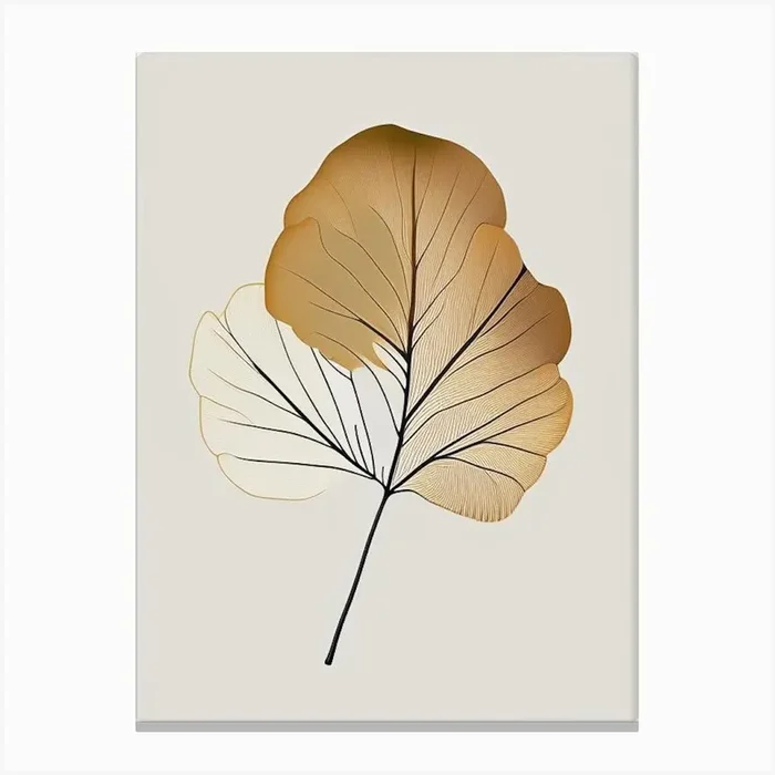 Ginkgo Spices And Herbs Retro Minimal 1 Canvas PrintHH by Herbaceous Hues