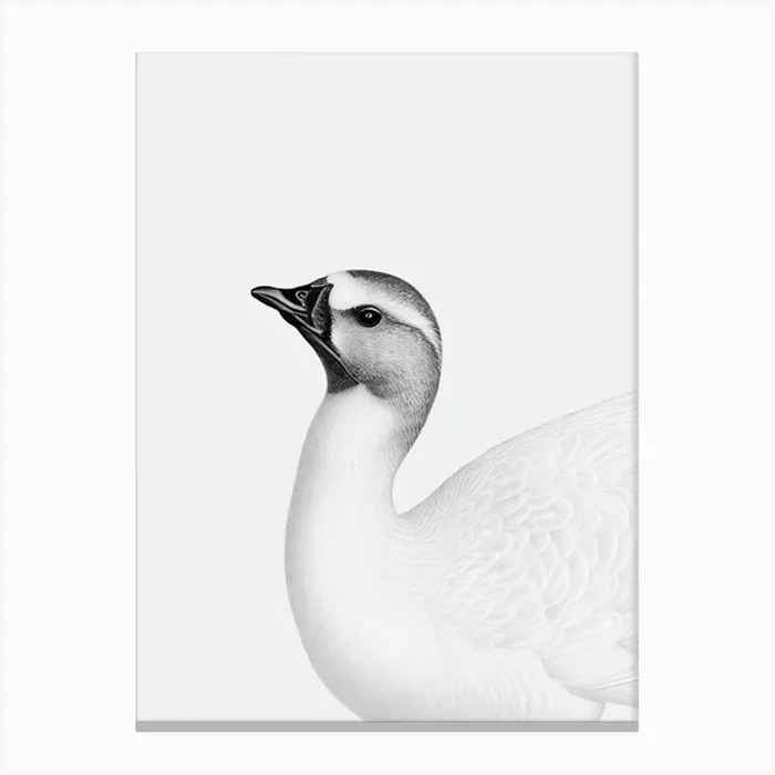 Goose B&W Pencil Drawing 2 Bird Canvas Print by Featherline