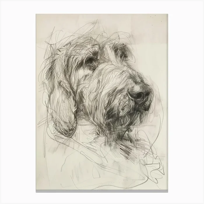 Grand Basset Griffon Vendeen Dog Charcoal Line 2 Canvas Print by Woof and Whiskers