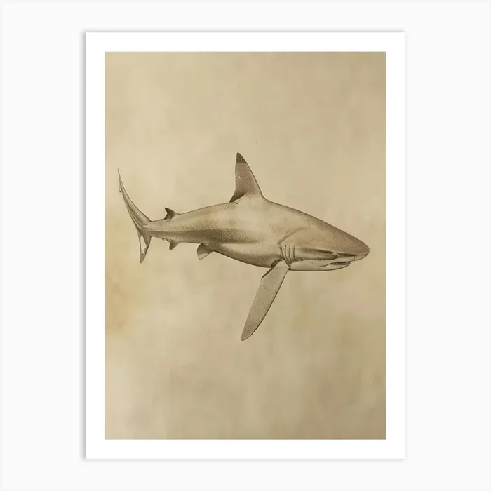Greenland Shark Vintage Illustration 4 Art Print by Energy of the Sea