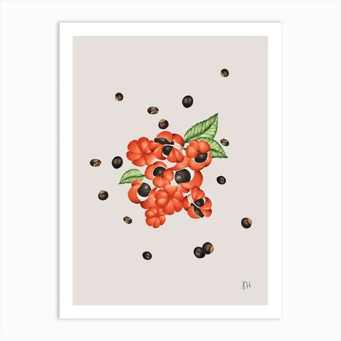 guaraná Art Print by Julia Hirata