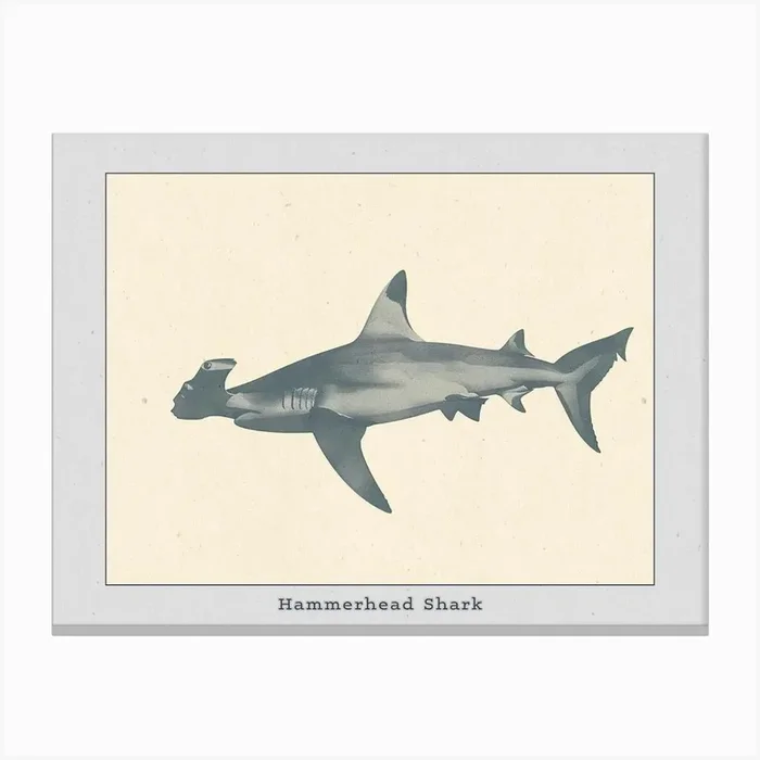 Hammerhead Shark Grey Silhouette 3 Poster Canvas Print by Energy of the Sea