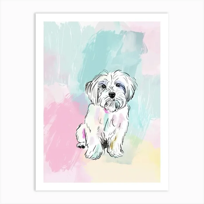 Havanese Dog Pastel Line Painting 1 Art Print by Woof and Whiskers