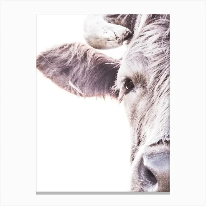 Highlander Ii 1 Canvas Print by Victoria Frost