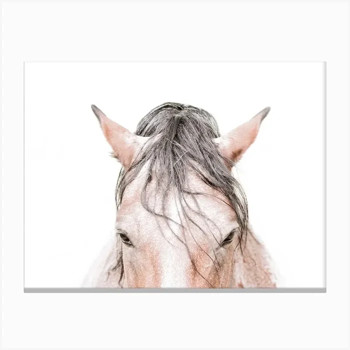 Horse’s Head Canvas Print by Victoria Frost