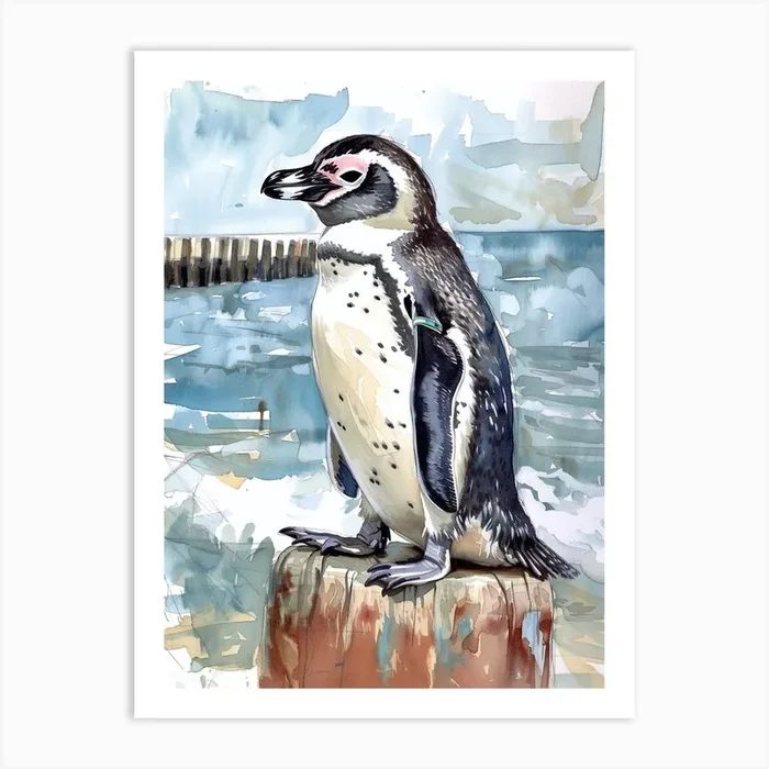 Humboldt Penguin Breakwater Watercolour Painting 1 Art Print by Energy of the Sea