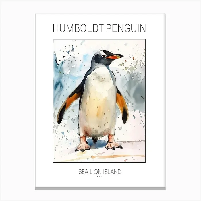 Humboldt Penguin Sea Lion Island Watercolour Painting 2 Poster Canvas Print by Energy of the Sea