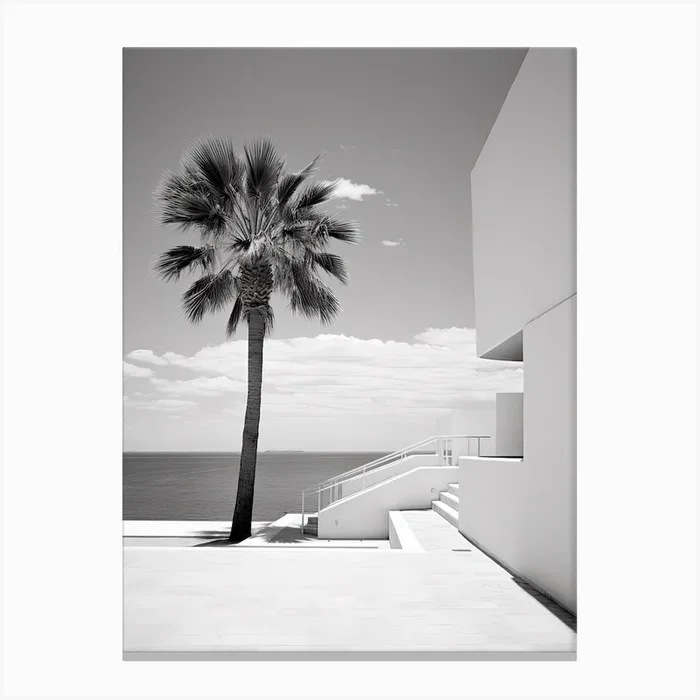 Ibiza, Spain, Photography In Black And White 4 Canvas Print by Monochrome Vistas