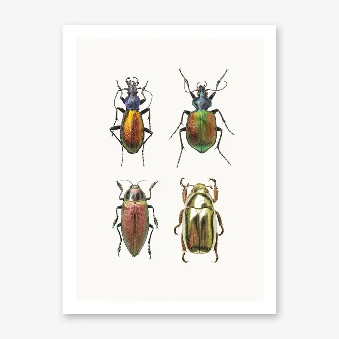 Insects IX Art Print by Mariëlle Leenders