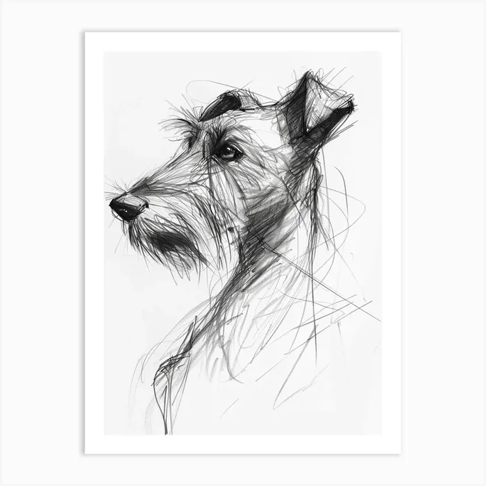 Irish Terrier Dog Charcoal Line 2 Art Print by Woof and Whiskers