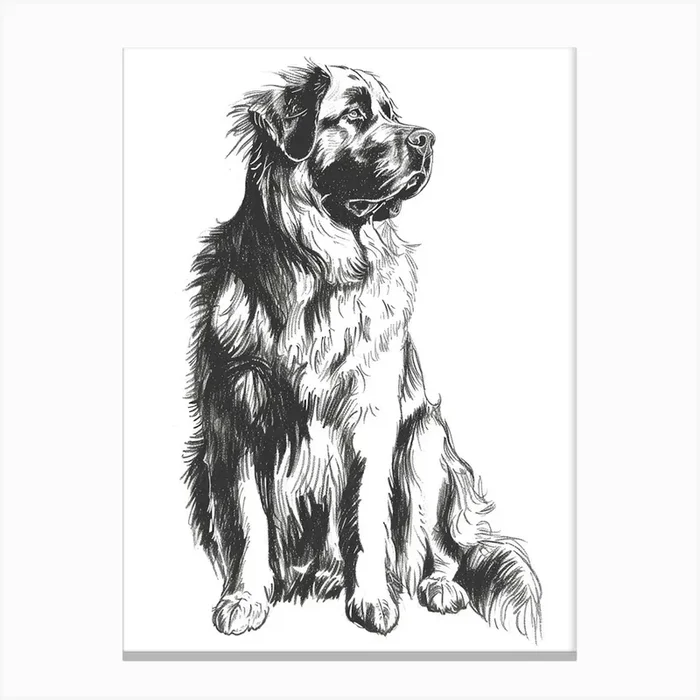 Leonberger Dog Line Sketch 2 Canvas Print by Woof and Whiskers