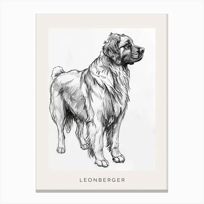 Leonberger Dog Line Sketch 3 Poster Canvas Print by Woof and Whiskers