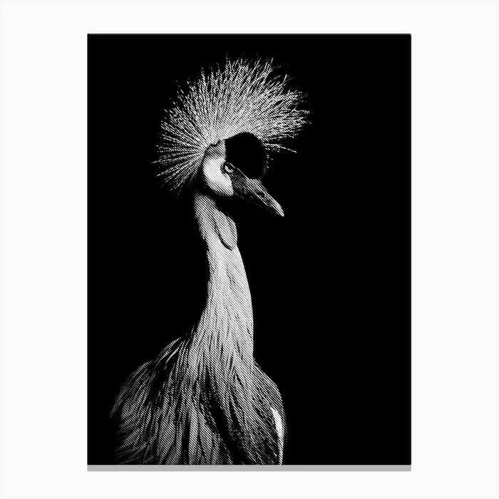 Long Beak Bird in Line Art Canvas PrintAB by Andika Bahtiar