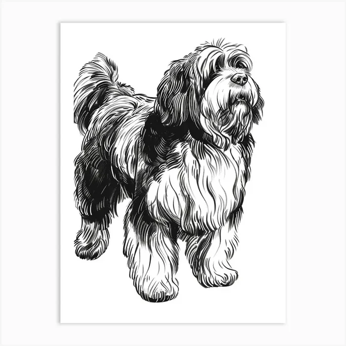 Long Hair Furry Dog Line Sketch 6 Art Print by Woof and Whiskers