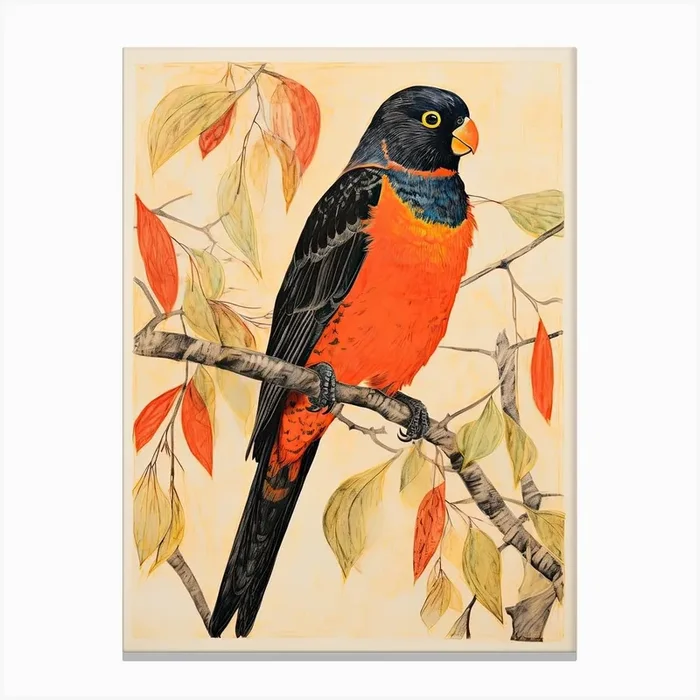 Lorikeet, Woodblock Animal Drawing 3 Canvas Print by Sakura Animal Creations