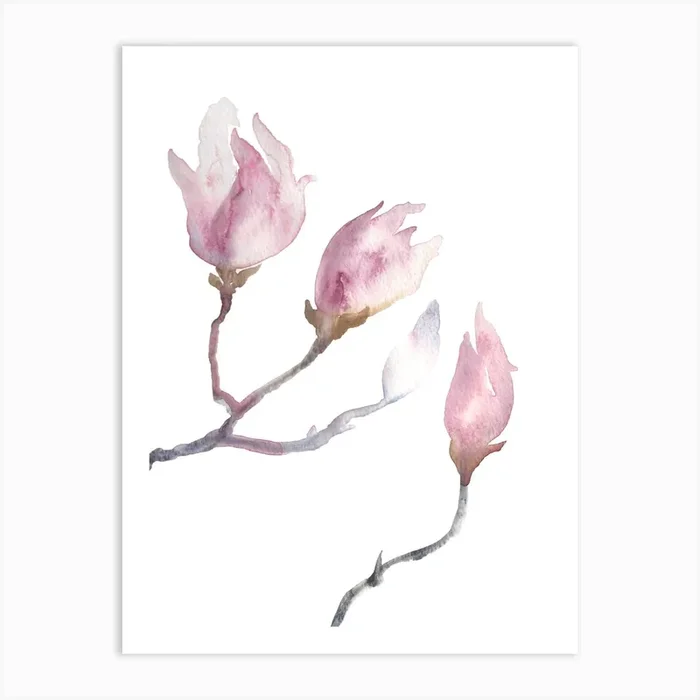 Magnolia Buds 5 Art Print by Elizabeth Becker