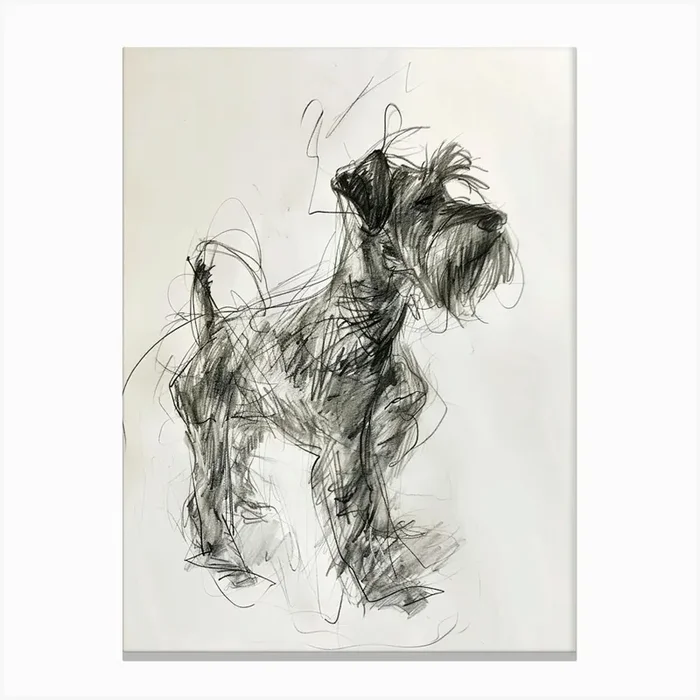 Minature Schnauzer Dog Charcoal Line 2 Canvas Print by Woof and Whiskers