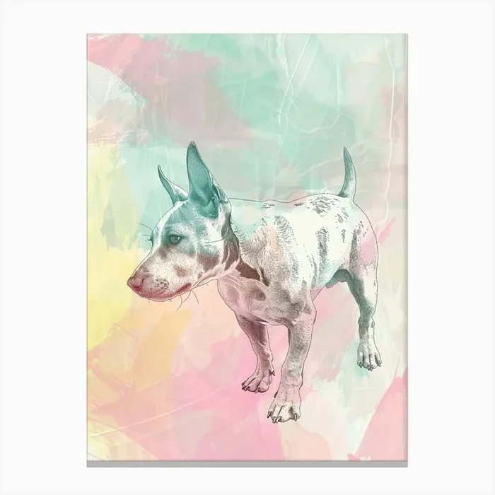 Miniature Bull Terrier Dogpastel Wat Canvas Print by Woof and Whiskers